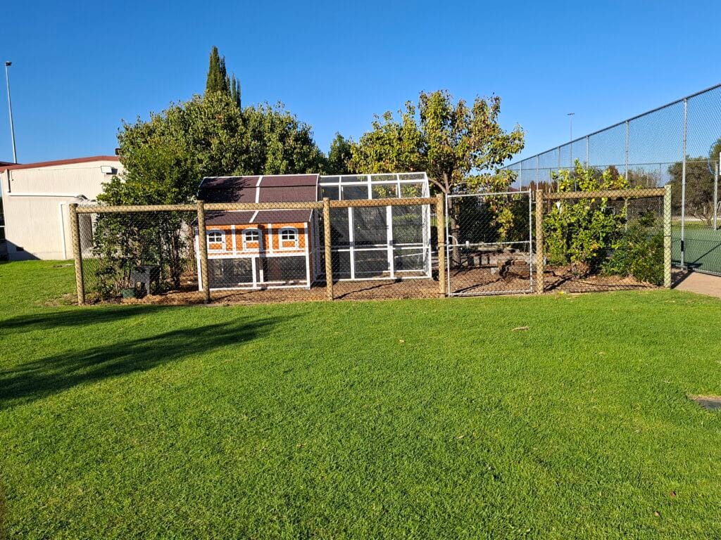 Backyard residential fencing Perth installation