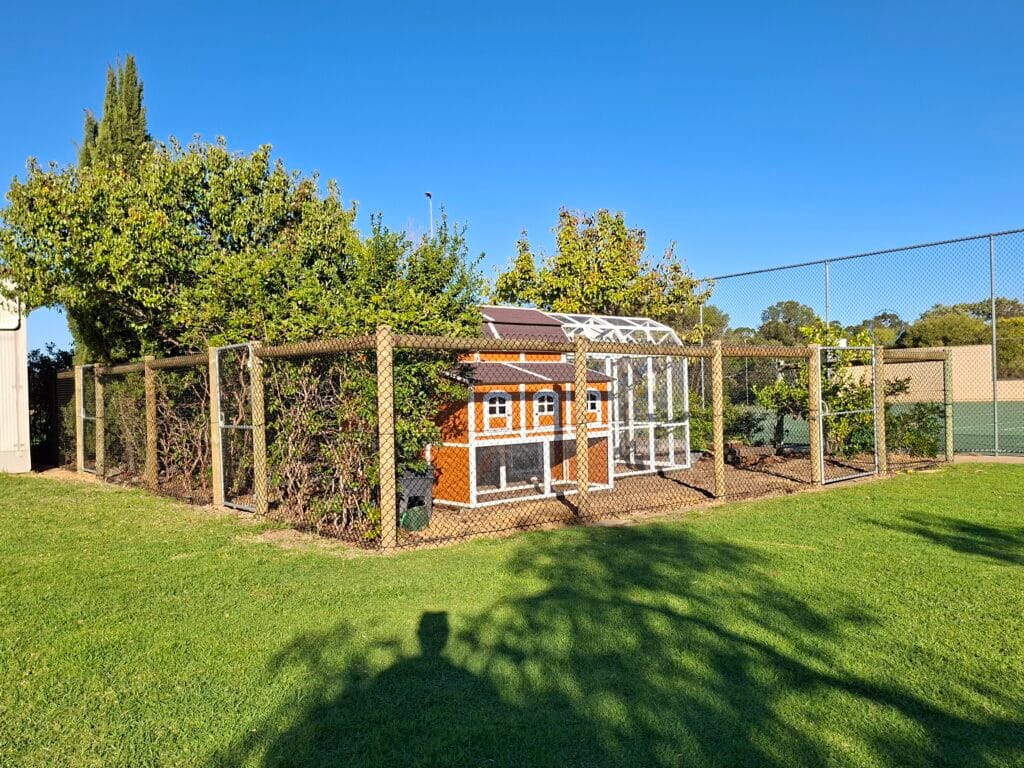 backyard Fencing | South Side Wire | Fencing Contractors Perth Backyard Fencing Perth